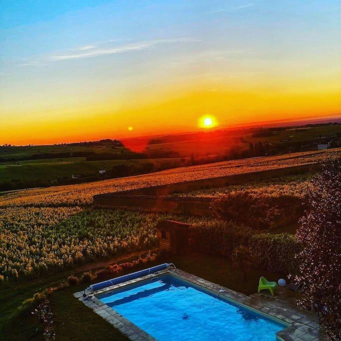 Au Coeur Des Vignes Chenas Du Beaujolais Apartment La Chapelle-de-Guinchay ภายนอก รูปภาพ