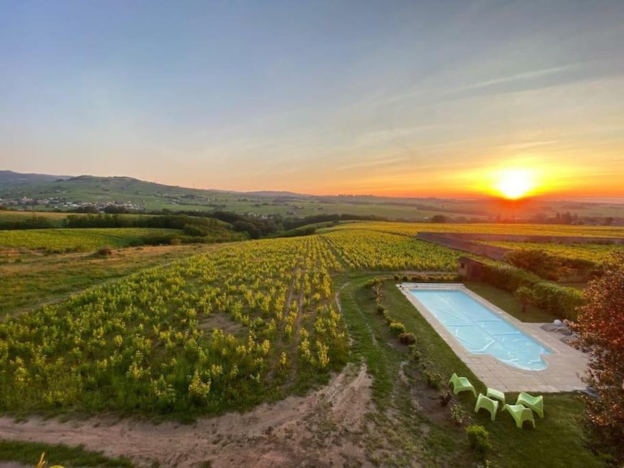Au Coeur Des Vignes Chenas Du Beaujolais Apartment La Chapelle-de-Guinchay ภายนอก รูปภาพ