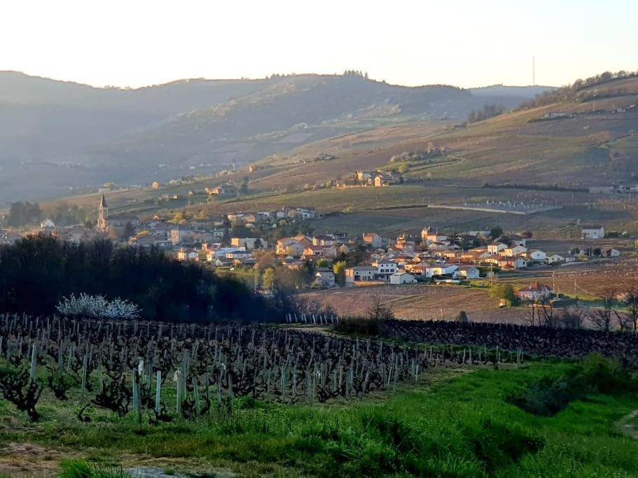 Au Coeur Des Vignes Chenas Du Beaujolais Apartment La Chapelle-de-Guinchay ภายนอก รูปภาพ